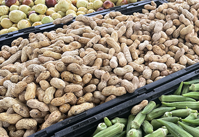 Display of raw peanuts at KT Farm's farmers market booth.