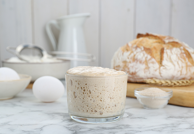 glass jar of sourdough discard