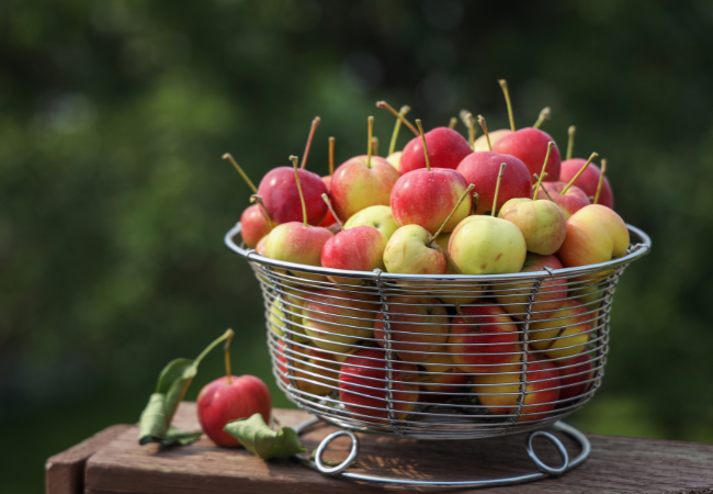Basket full of tart crabapples