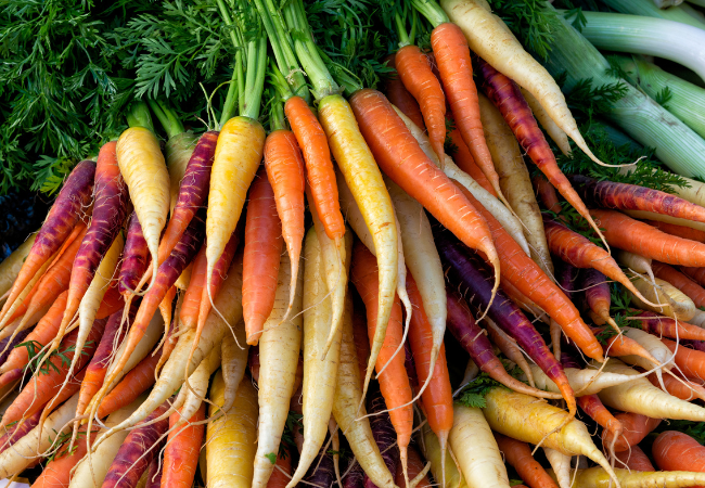 Colorful carrot bunches at farmers market booth