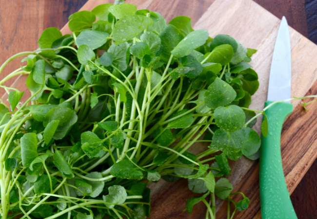 Bunch of fresh green watercress on a cutting board