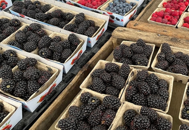 Late season blackberries at the farmers markets.