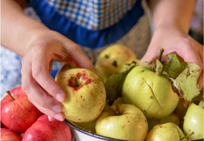 Woman checking bowl of apples for signs of spoilage.